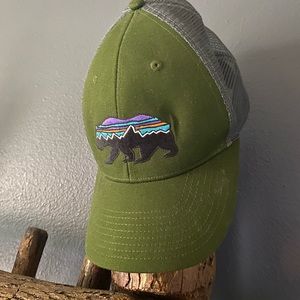 Patagonia hat